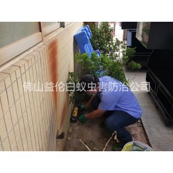 黄岐投放灭鼠装置工程